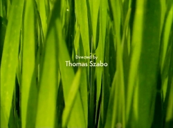 خیلی خیلی کوچک (1) (زمستان)